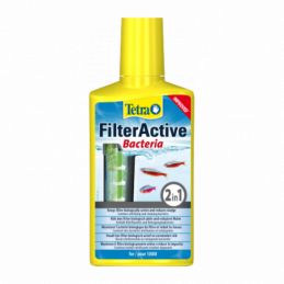 FilterActive Bacteria